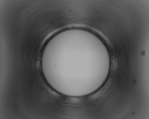 X0000101991266200807180816