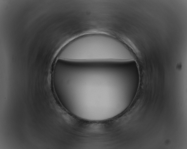 X0000101991268200807180816
