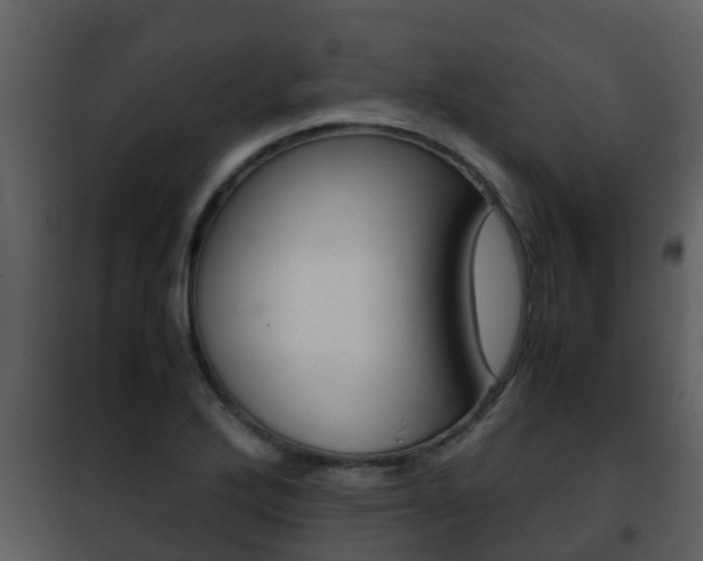 X0000101991272200807180816