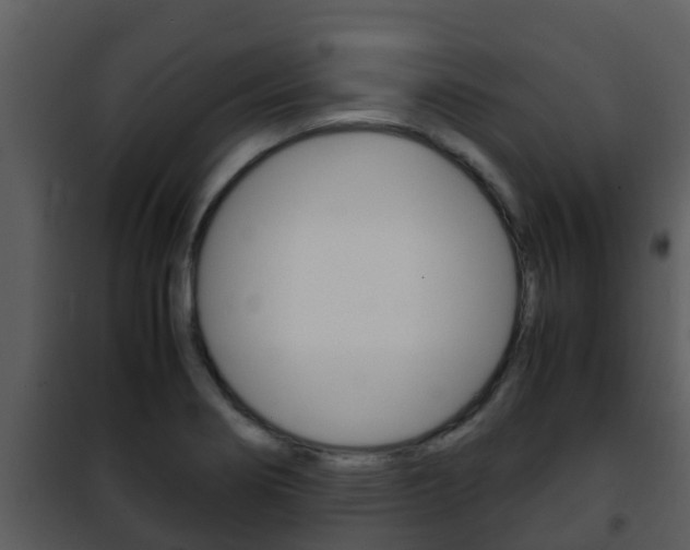 X0000101991274200807180816