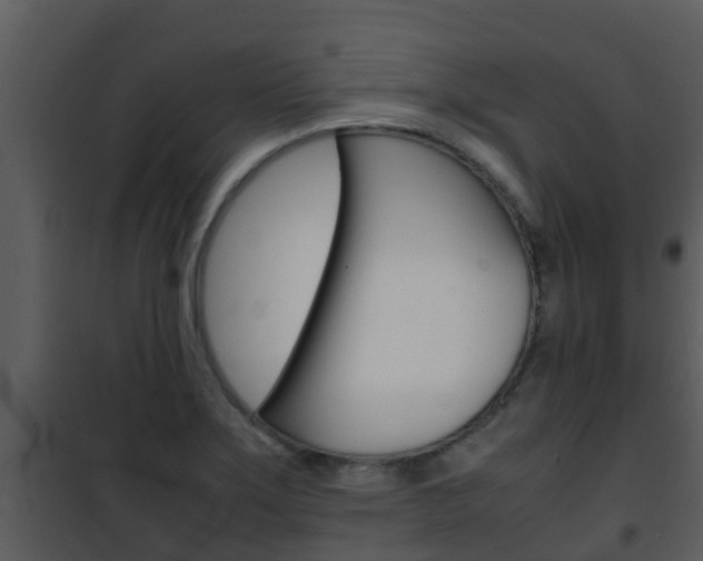 X0000101991275200807180816