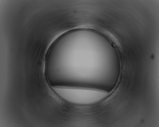 X0000101991276200807180816