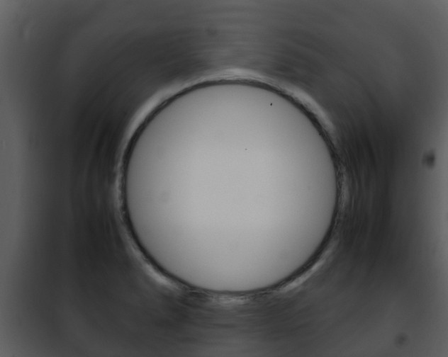 X0000101991278200807180816