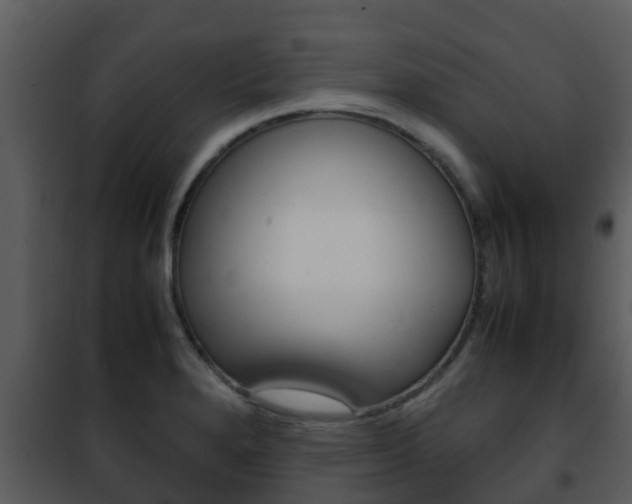 X0000101991280200807180816