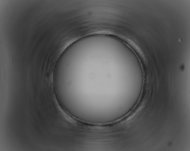 X0000101991281200807180816