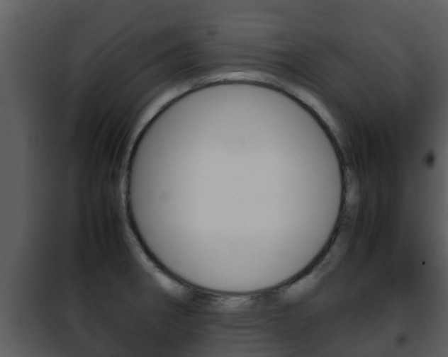 X0000101991282200807180815