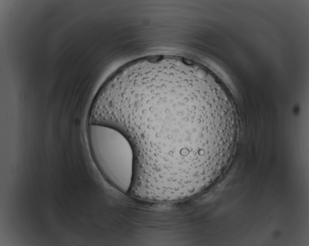 X0000101991283200807180815