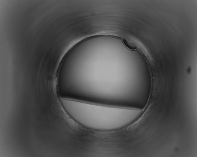 X0000101991284200807180815