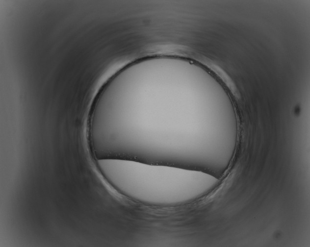 X0000101991285200807180815
