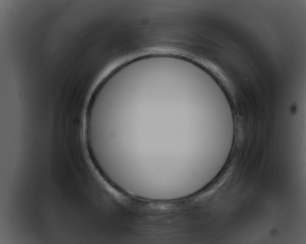 X0000101991286200807180815