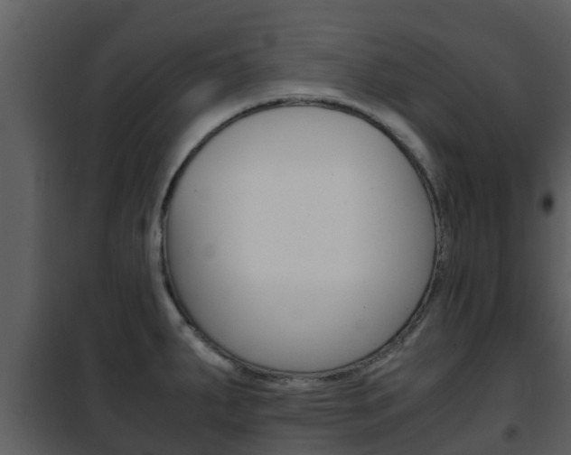 X0000101991287200807180815