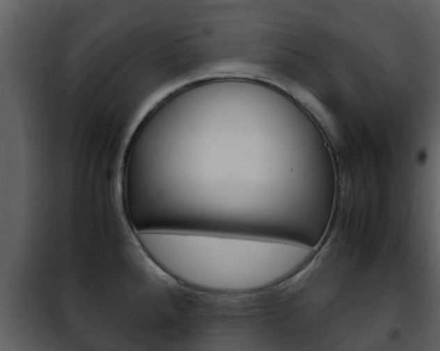 X0000101991288200807180815