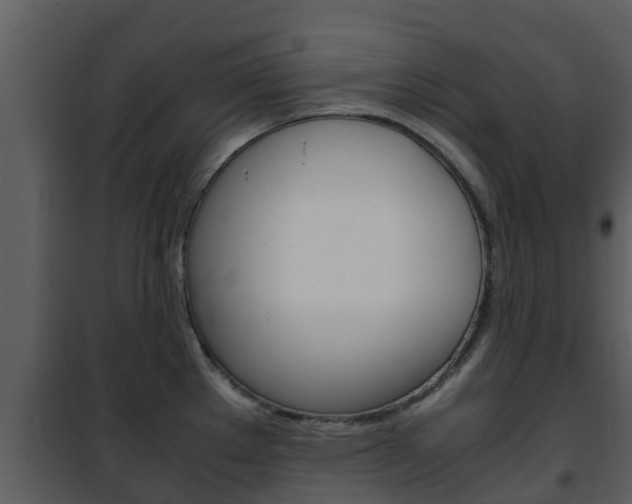X0000101991289200807180815