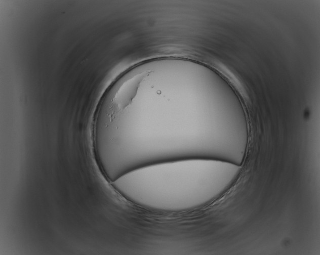 X0000101991291200807180815