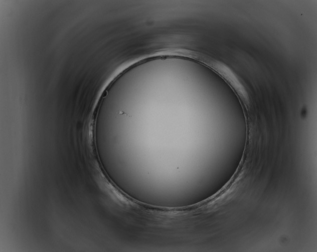 X0000101991292200807180815