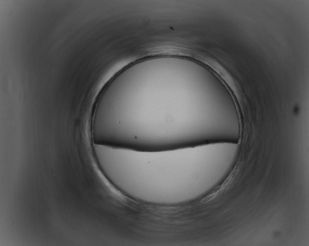 X0000101991293200807180815