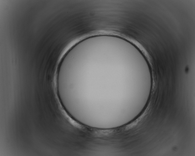 X0000101991294200807180815