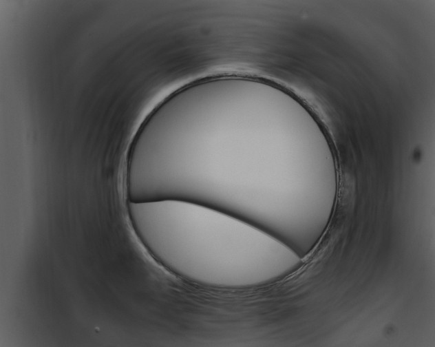 X0000101991295200807180815