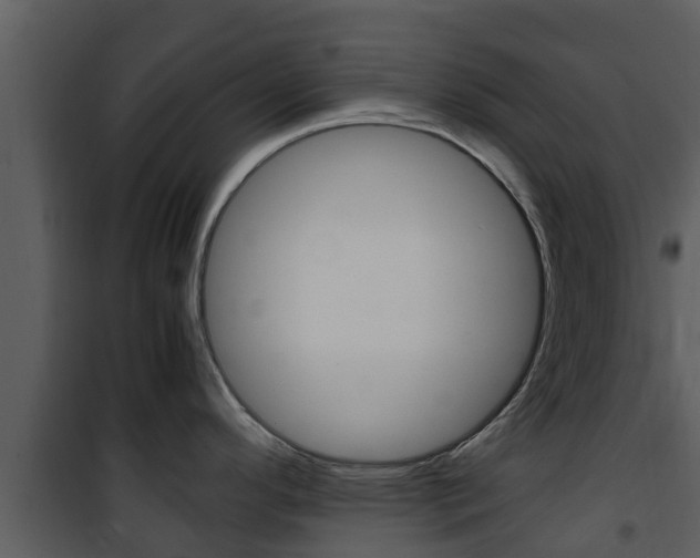 X0000101991296200807180815