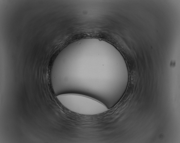 X0000101991298200807180814