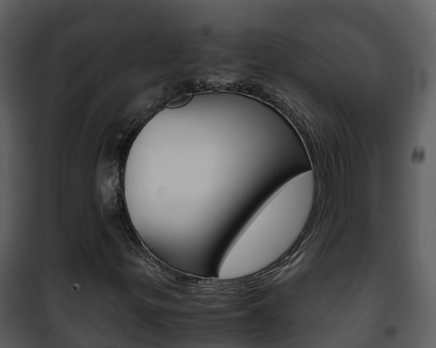 X0000101991299200807180814