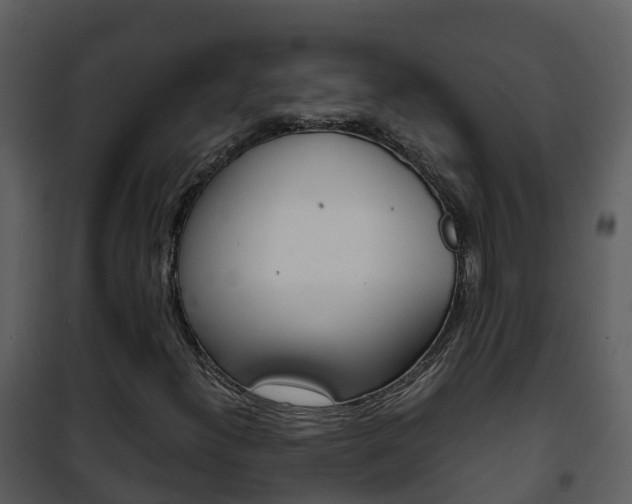 X0000101991300200807180814
