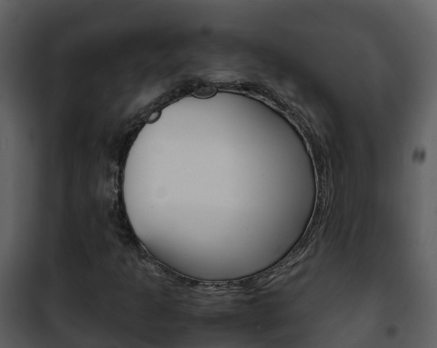 X0000101991301200807180814
