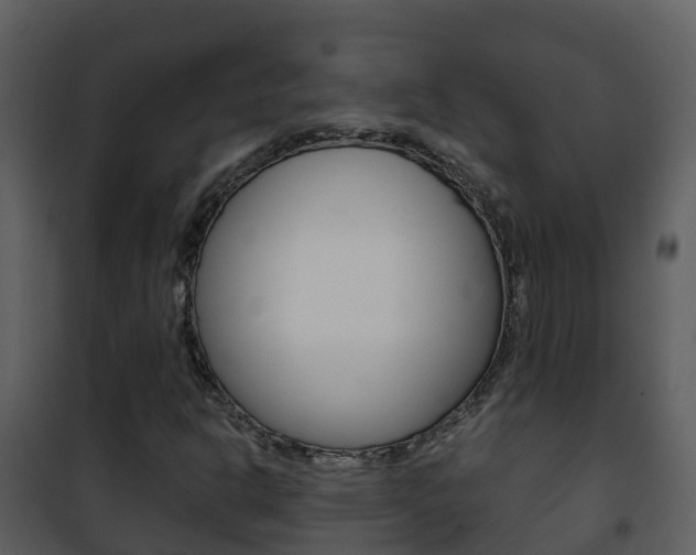 X0000101991302200807180815
