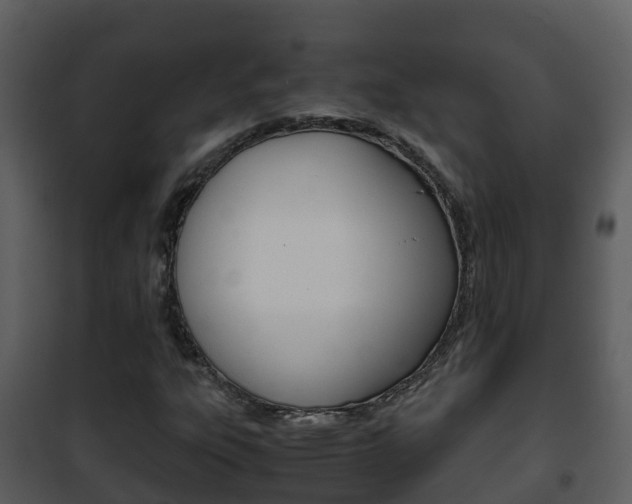 X0000101991303200807180815