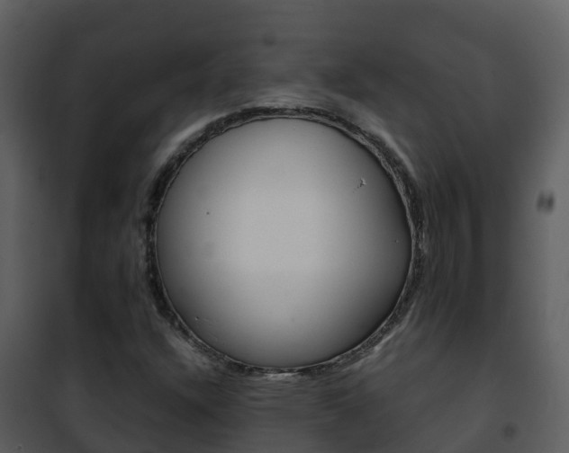 X0000101991304200807180815