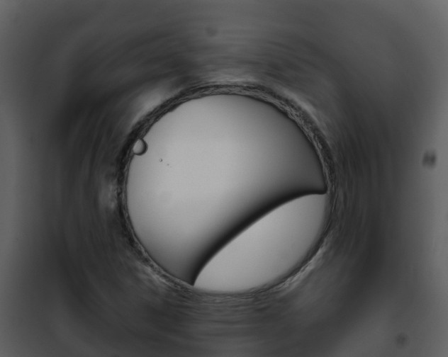 X0000101991306200807180815