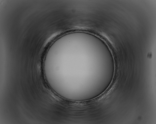 X0000101991307200807180815