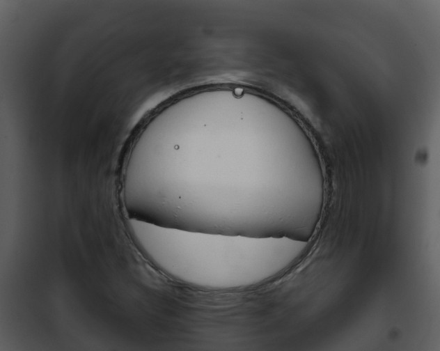 X0000101991308200807180815