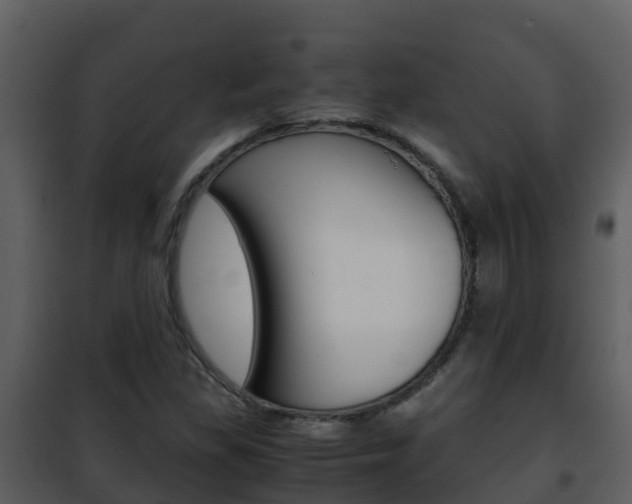 X0000101991309200807180815