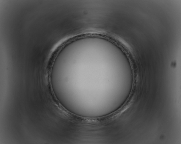 X0000101991310200807180815