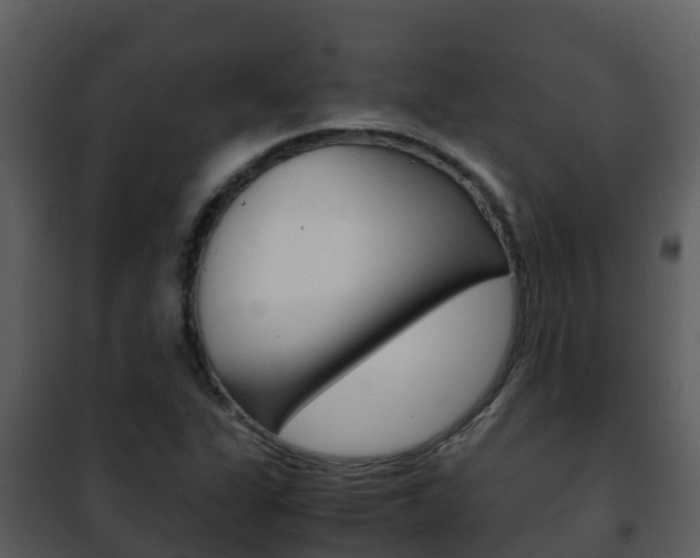 X0000101991311200807180815