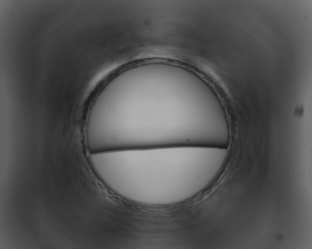 X0000101991312200807180815