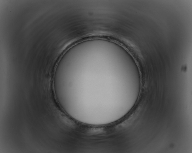 X0000101991313200807180815