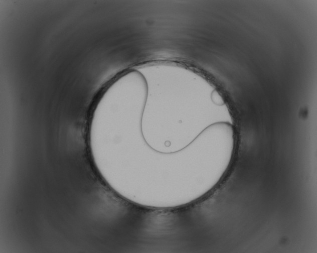 X0000101991314200807180815