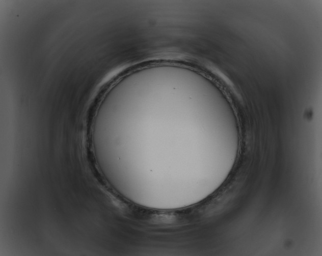 X0000101991315200807180815