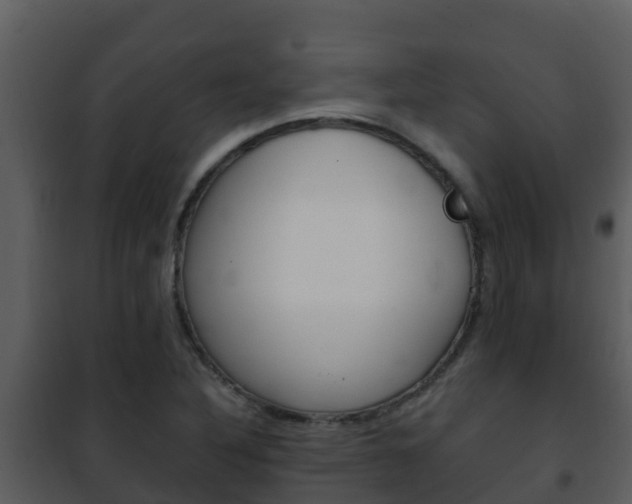 X0000101991316200807180815