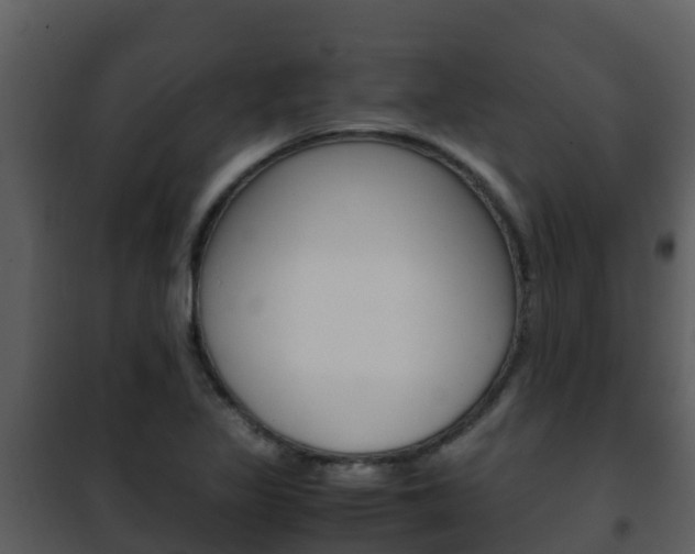 X0000101991317200807180815