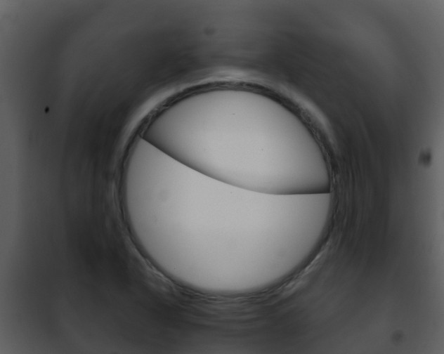 X0000101991318200807180815