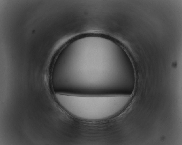 X0000101991319200807180815
