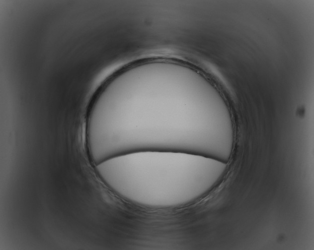 X0000101991320200807180815