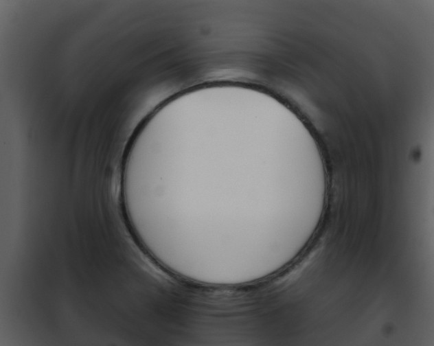 X0000101991322200807180815