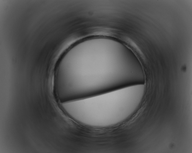 X0000101991323200807180815