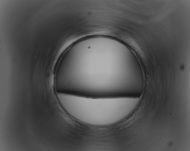 X0000101991324200807180815