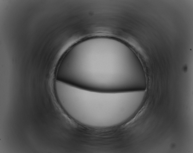 X0000101991325200807180815