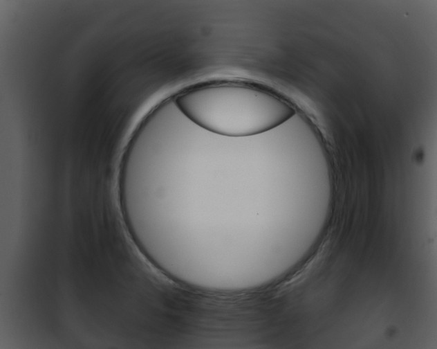 X0000101991326200807180815